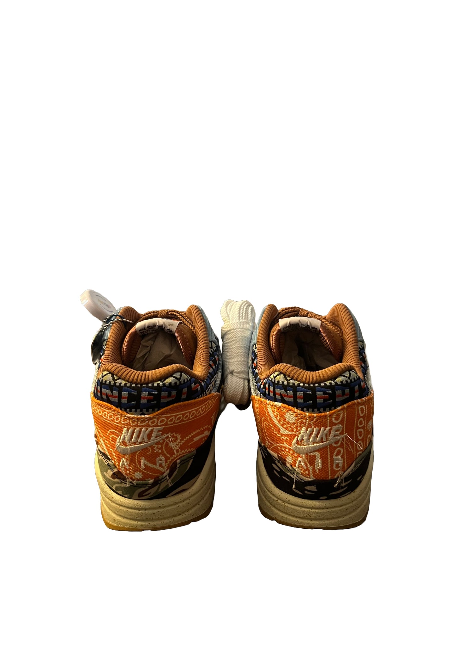 Nike x Concepts Air Max 1 SP 'Heavy' DN1803-900